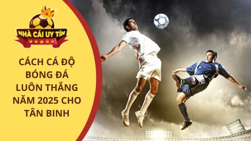 Cách cá độ bóng đá luôn thắng