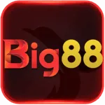 big88 logo
